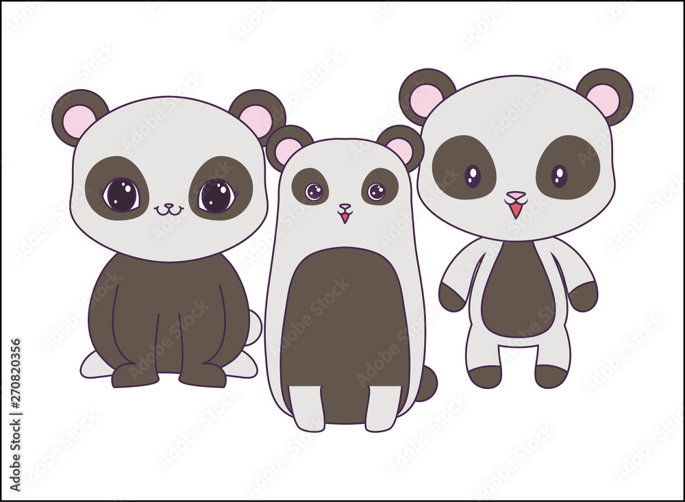 Obraz premium panda bears animals isolated icon