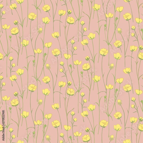  Ranunculus acris.Yellow wildflowers. Small blooming weed. Botanical illustration. Herb plant.