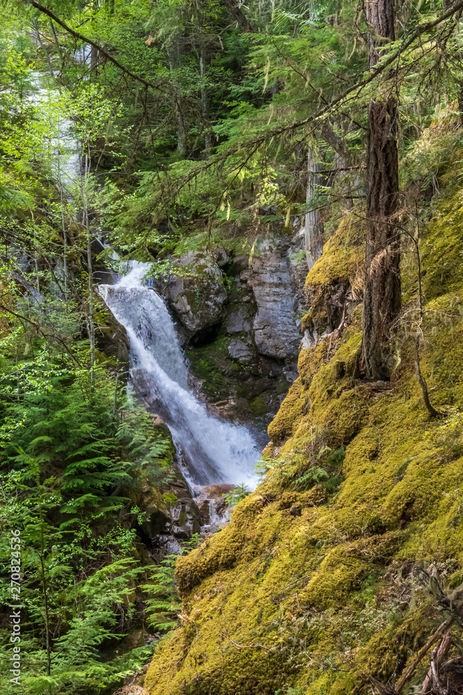 Nice creek or small river in Vancouver, Canada. View with mountain background. Nice creek or small river in Vancouver, Canada. View with mountain background.