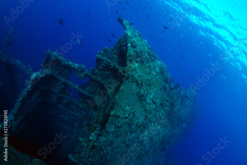 Libety wreck, underwater world, artificial reef. Clear blue sea. Tulamben, Bali, Indonesia. 