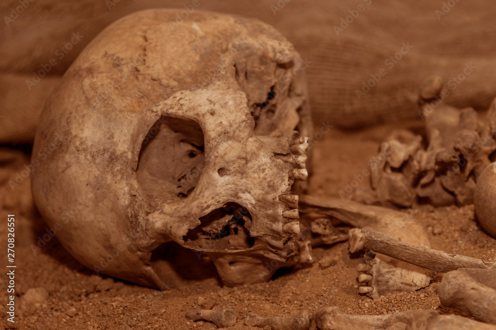 Ancient human skeleton. history of antiquities, archaeology, anthropology. Ancient human skeleton. history of antiquities, archaeology, anthropology.