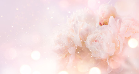 Beautiful pink peony bouquet art background. Blooming pastel peony or roses border flowers card design. Wedding backdrop, Valentine's Day concept