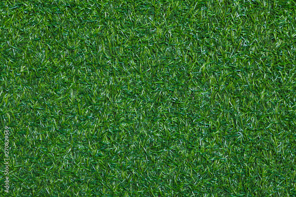 Fototapeta premium green grass texture background