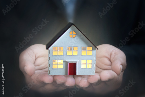 Miniature house