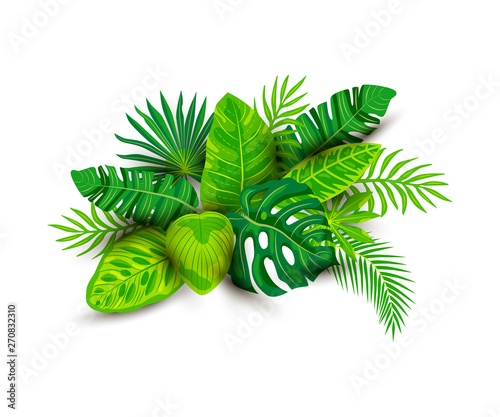 Tropical exotic leaves vector illustration isolated on white background. Design element with shadow for poster, web, flyers, invitation, postcard, t-shirt design.
