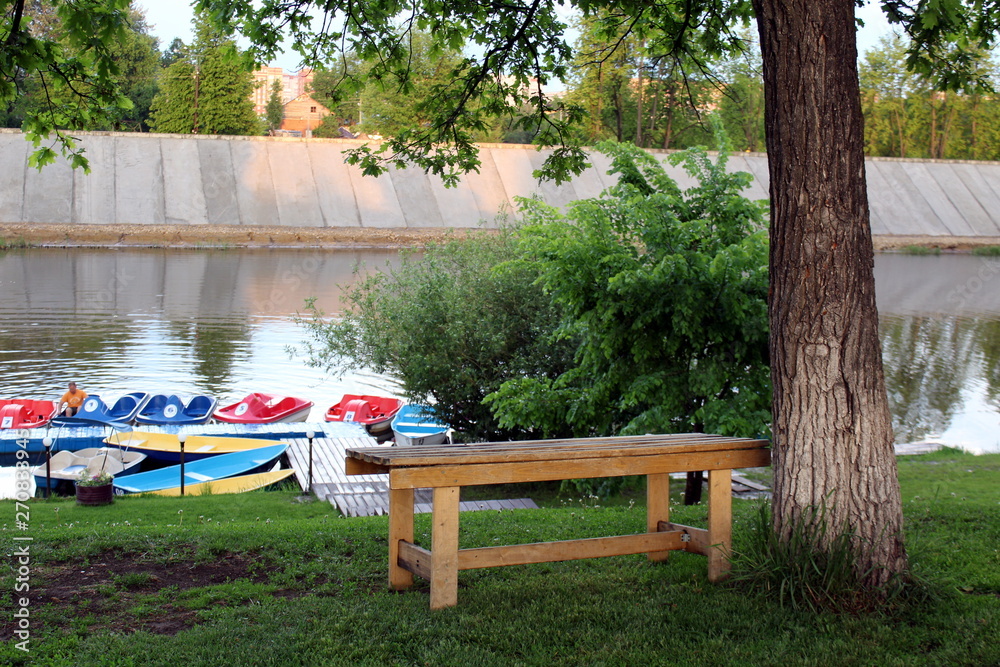 Obraz premium Lonely bench stands under a tree by the river