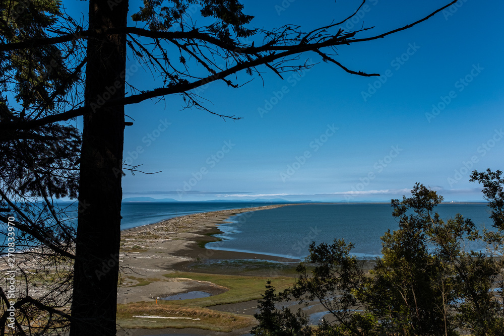 A view of beautiful sandy beach of Dungeness Peninsula through the long grasses and looking down the length of the beach, nobody in the image A view of beautiful sandy beach of Dungeness Peninsula through the long grasses and looking down the length of the beach, nobody in the image