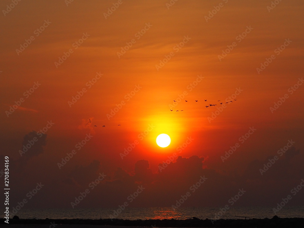 Obraz premium OLYMPUS DIGITAL CAMERA