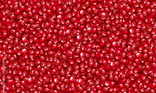 Seamless fruit pomegranate seeds pattern, Fresh organic food, Red ruby fruits pattern. Vector illustration.