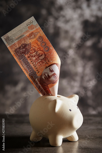 piggy bank and money photo