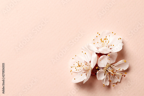 Tableau sur toile Spring floral background, texture and wallpaper
