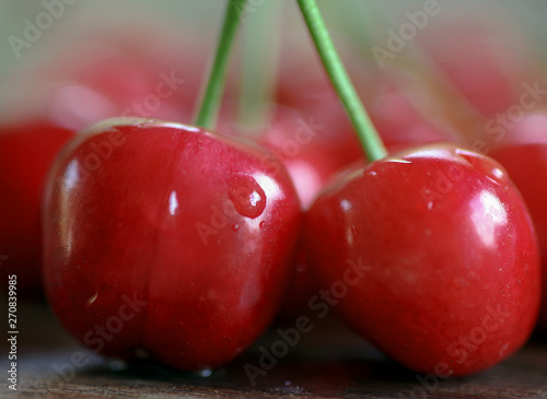 two red cherries with water drops photo