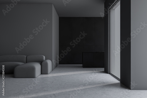 Gray living room with kitchen counter