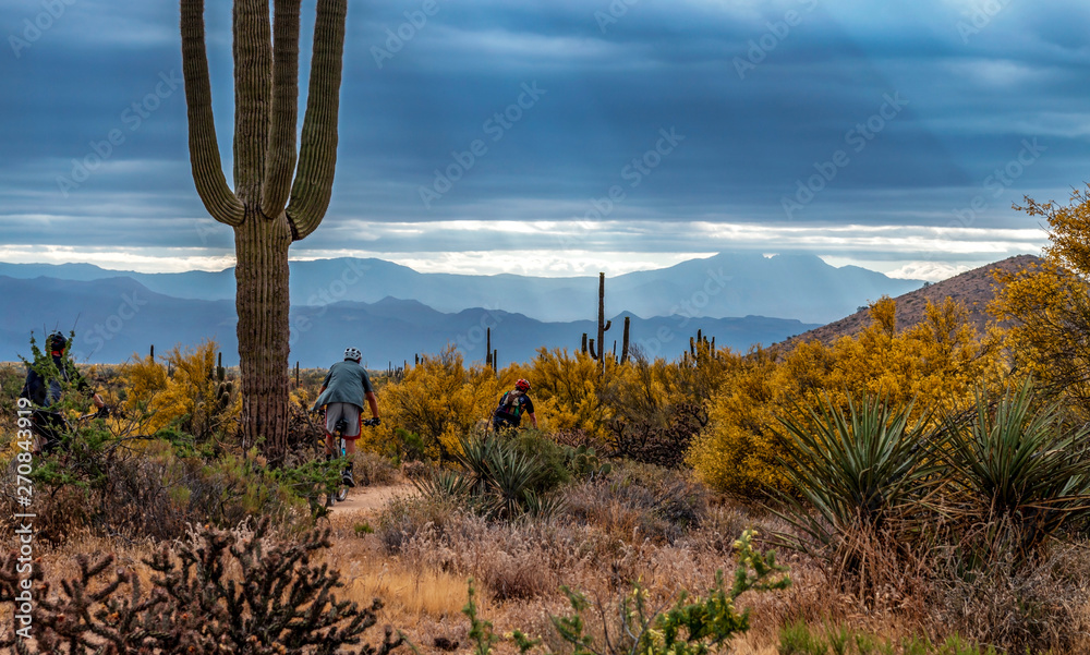 Group Of Mountain Bikers On A Desert Trail In Arizona Near Scottsdale Group Of Mountain Bikers On A Desert Trail In Arizona Near Scottsdale