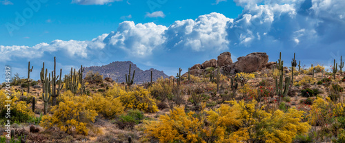 Fotografie Browns Ranch Desert Preserve In North Scottsdale AZ