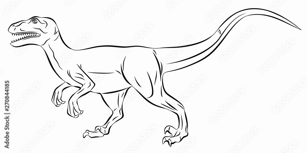isolated illustration of a raptor. vector drawing Stock Vector | Adobe ...