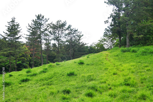 公園、草原、山