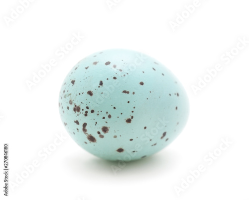 Single blue spotted egg.