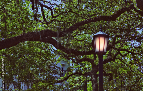 A traditional street light with oak trees and spanish moss photo