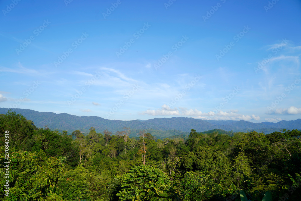 Bright background sky Fertile mountains And enjoy, with your eyes and the sky clear, in Pattani Province, Thailand