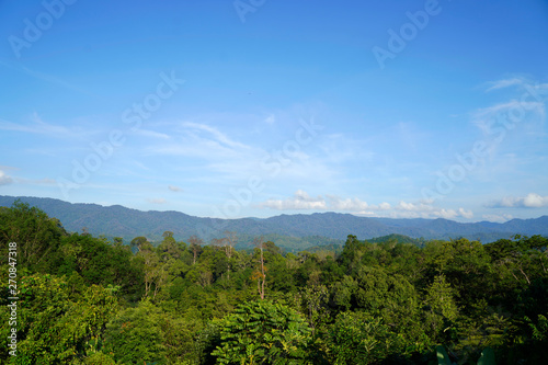 Bright background sky Fertile mountains And enjoy  with your eyes and the sky clear  in Pattani Province  Thailand