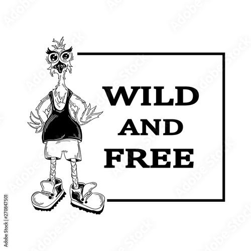  Cartoon ostrich in a t-shirt, shorts and sneakers with the words wild and free. The bird is made  in black and white color.Positive character. Hand drawn illustration. isolated on a white background.