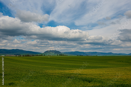 green meadow under blue sky in countryside