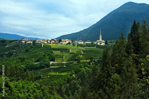 Italy-a view on the Bozzana
