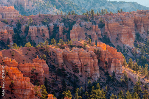 Sun Kissed Hoodoos and Pine Trees in Bryce Canyon