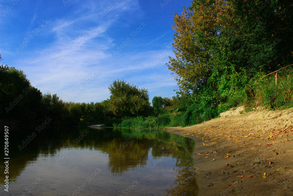 lake in the forest