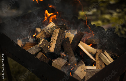 fresh firewood begins to flare up in the grill