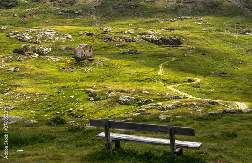 bench in the park