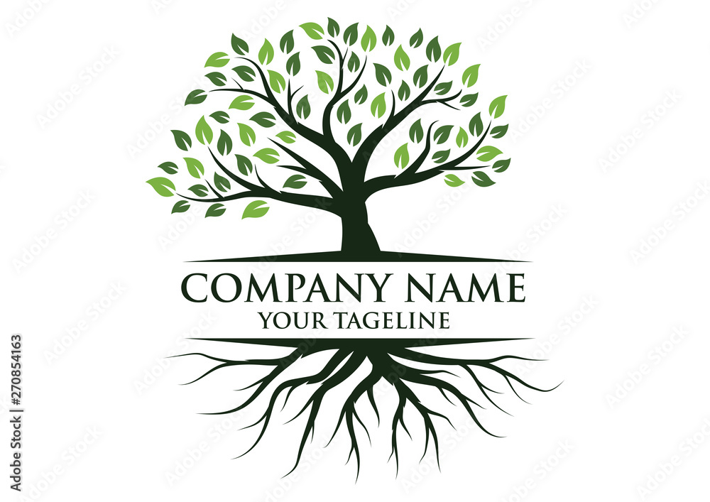 Obraz premium Tree and roots logo illustration. Tree of life logo design inspiration
