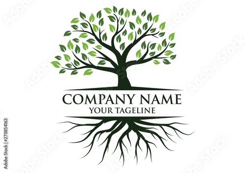Tree and roots logo illustration. Tree of life logo design inspiration