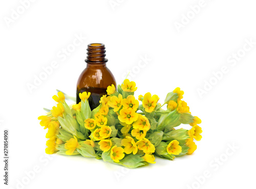 Blooming Primula veris ( common cowslip, cowslip, petrella, herb peter, paigle, peggle, key flower, key of heaven, Primula officinalis Hill ) with pharmaceutical bottle on a white background photo