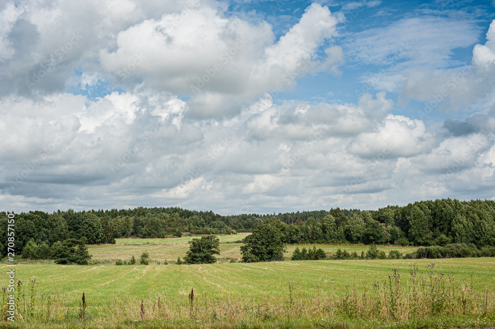 Grass fields with forest and a cloudy sky. Grass fields with forest and a cloudy sky.