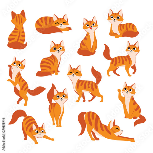 Fotografie, Obraz Red cute cat in different poses