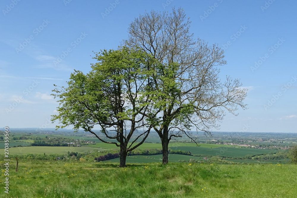The rolling hills of the Dunstable Downs - Whipsnade, Bedfordshire, England, UK The rolling hills of the Dunstable Downs - Whipsnade, Bedfordshire, England, UK