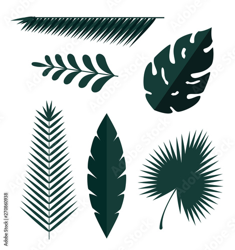 set of exotic leaves plants with branches