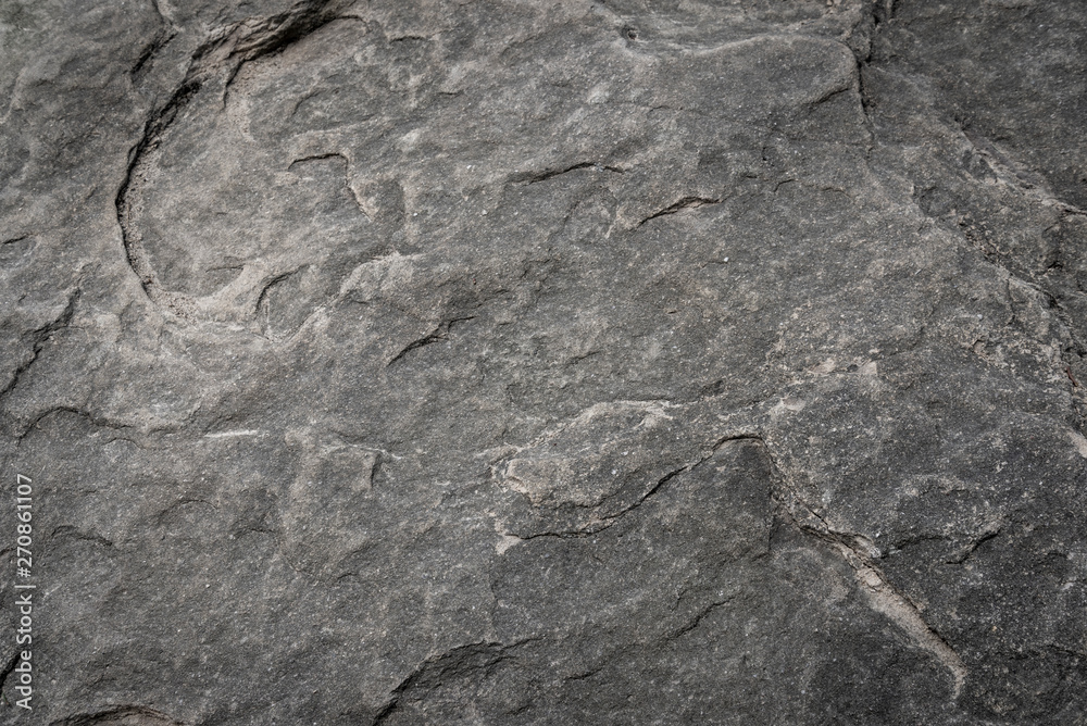 Limestone texture close up