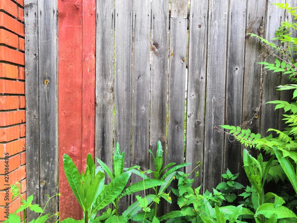 Wood fence gray red and brick and plant leaves green background Wood fence gray red and brick and plant leaves green background