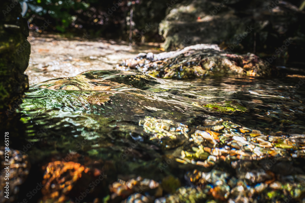 Fototapeta premium Stream of natural water source at its starting point among the rocks