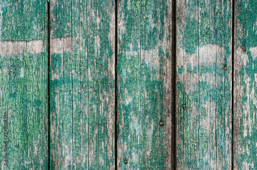 textured weathered wooden surfase with vertical boards, cracked blue green paint and metal spikes