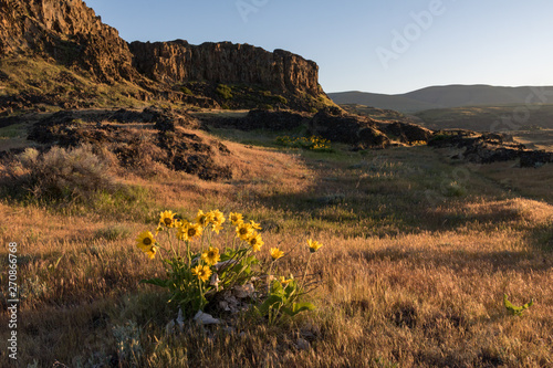 Spring sunrise at Horsethief Butte, Columbia Hills Historical State Park in Washington photo