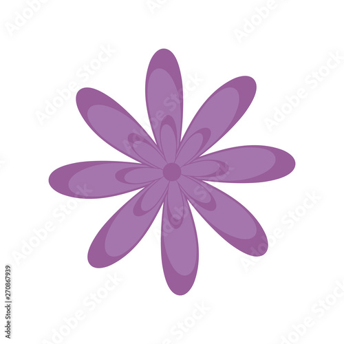 beautiful flower natural isolated icon