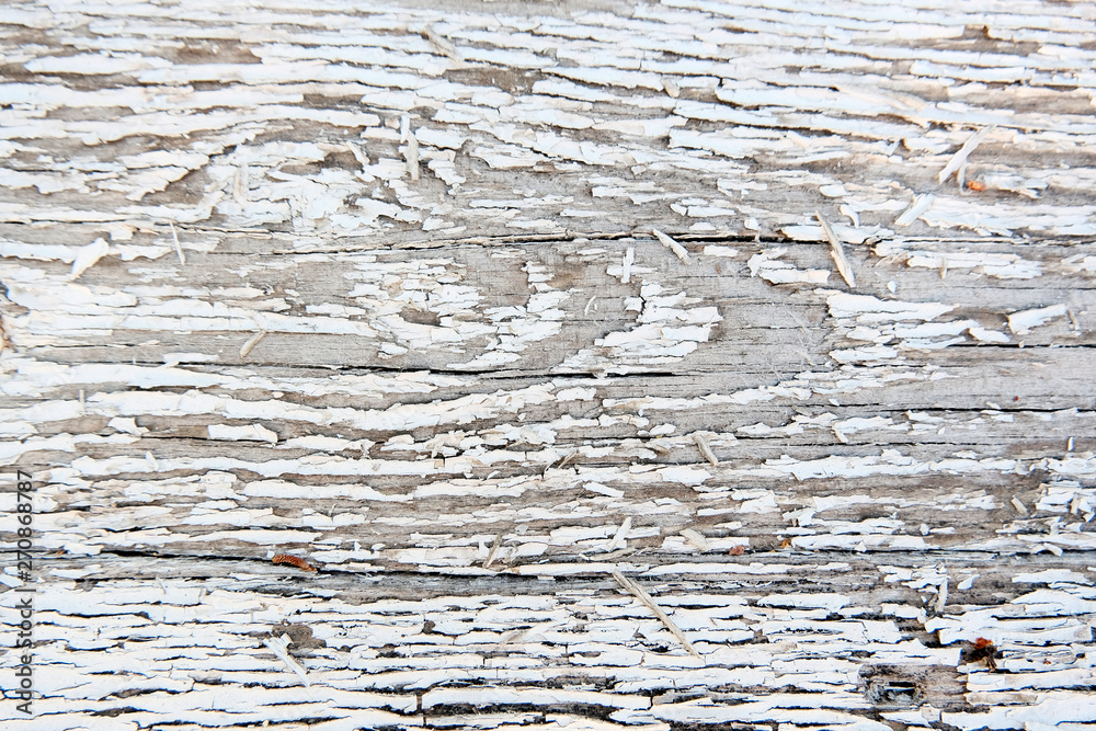 Fototapeta premium The concept of a gray wooden background. Blurred wood surface. Abstract background. Interior and exterior decoration.