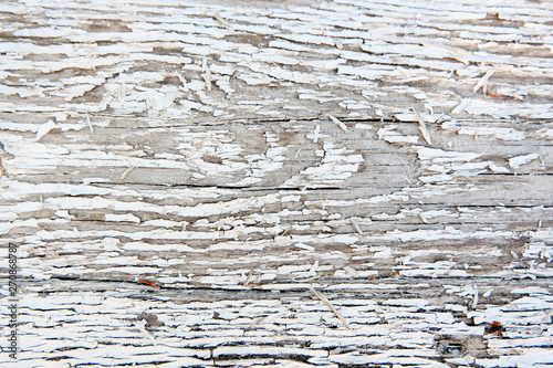 The concept of a gray wooden background. Blurred wood surface. Abstract background. Interior and exterior decoration.