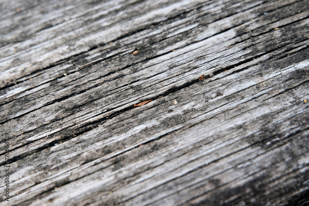 The concept of a gray wooden background. Blurred wood surface. Abstract background. Interior and exterior decoration. The concept of a gray wooden background. Blurred wood surface. Abstract background. Interior and exterior decoration.