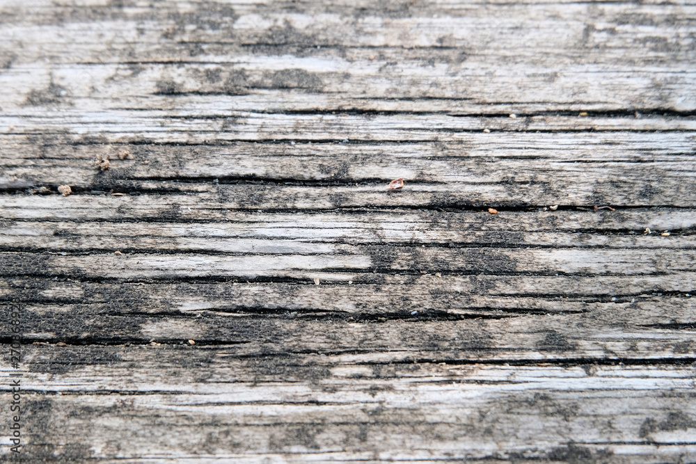 The concept of a gray wooden background. Blurred wood surface. Abstract background. Interior and exterior decoration. The concept of a gray wooden background. Blurred wood surface. Abstract background. Interior and exterior decoration.