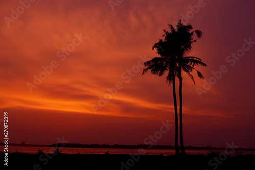 sunset between coconut tree and lake